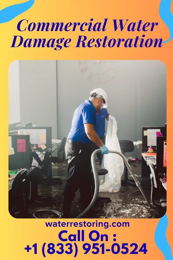 Commercial Water Damage Restoration in Fripp Island, SC