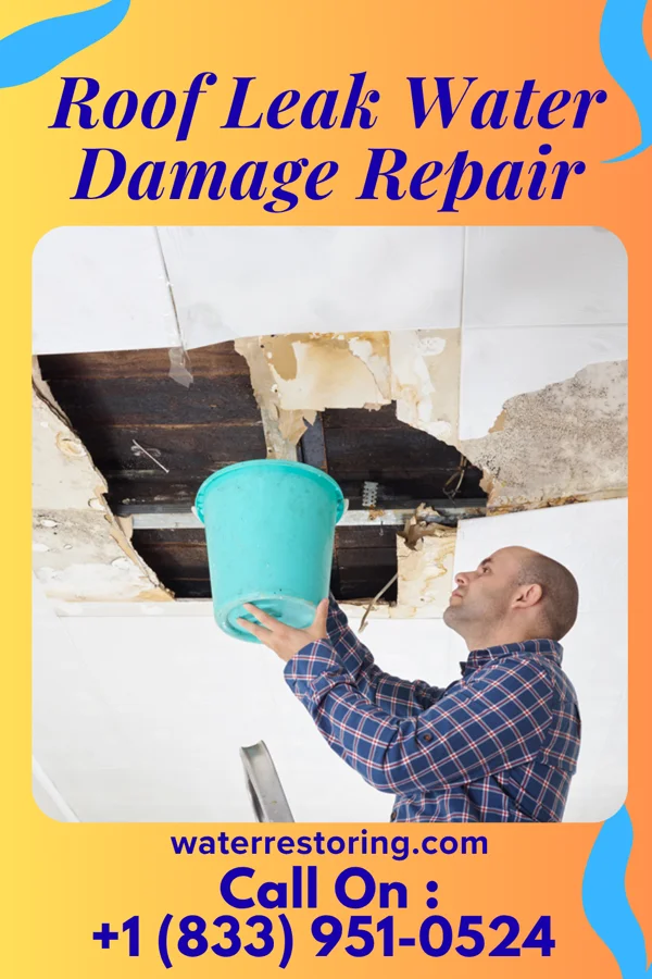 Roof Leak Water Damage Repair in Fripp Island, SC