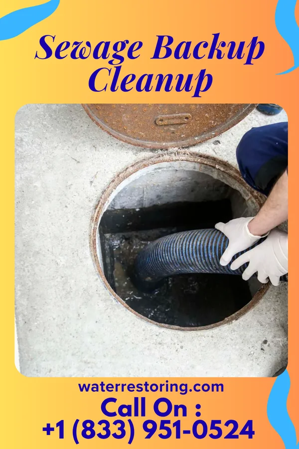 Sewage Backup Cleanup in Fripp Island, SC